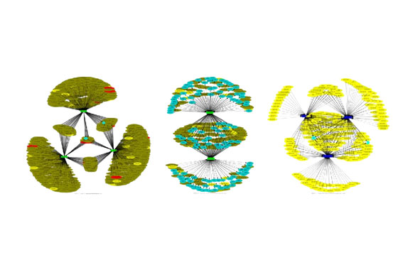 ConnecTome